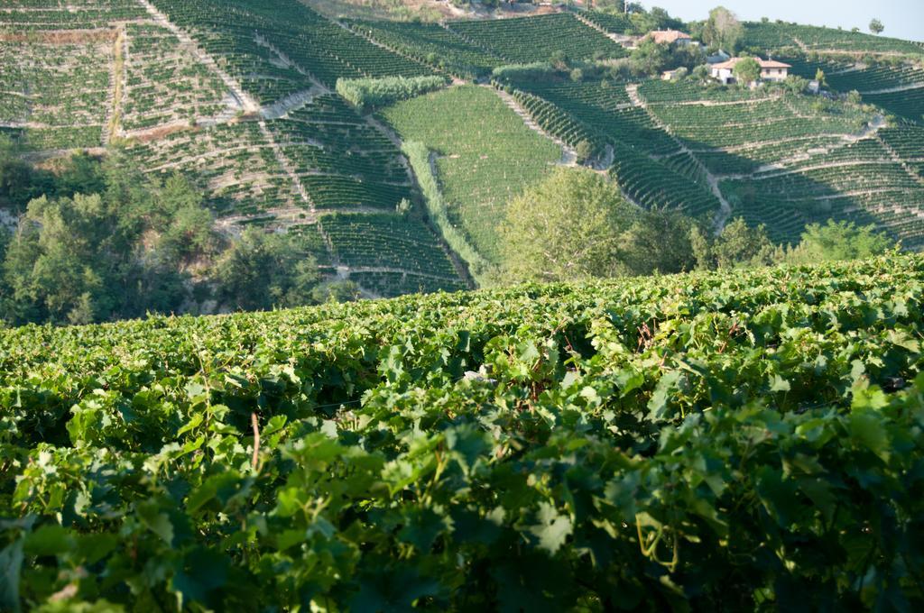 Cadgal - Tenuta Valdivilla سانتو ستيفانو بيلبو المظهر الخارجي الصورة